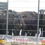 3º Leilão Fazendas Reunidas Cariri, Haras Cheval & Convidados 294