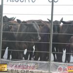 3º Leilão Fazendas Reunidas Cariri, Haras Cheval & Convidados 179