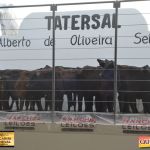 3º Leilão Fazendas Reunidas Cariri, Haras Cheval & Convidados 192
