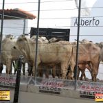 3º Leilão Fazendas Reunidas Cariri, Haras Cheval & Convidados 174