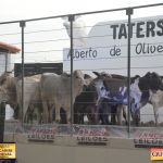 3º Leilão Fazendas Reunidas Cariri, Haras Cheval & Convidados 28