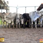 3º Leilão Fazendas Reunidas Cariri, Haras Cheval & Convidados 302