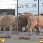 3º Leilão Fazendas Reunidas Cariri, Haras Cheval & Convidados 145