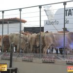 3º Leilão Fazendas Reunidas Cariri, Haras Cheval & Convidados 318