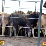 3º Leilão Fazendas Reunidas Cariri, Haras Cheval & Convidados 52