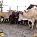 3º Leilão Fazendas Reunidas Cariri, Haras Cheval & Convidados 229