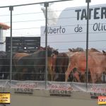3º Leilão Fazendas Reunidas Cariri, Haras Cheval & Convidados 241