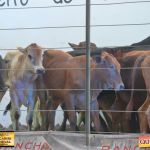 3º Leilão Fazendas Reunidas Cariri, Haras Cheval & Convidados 283