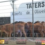 3º Leilão Fazendas Reunidas Cariri, Haras Cheval & Convidados 57