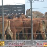 3º Leilão Fazendas Reunidas Cariri, Haras Cheval & Convidados 18