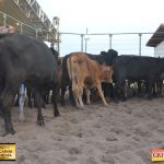 3º Leilão Fazendas Reunidas Cariri, Haras Cheval & Convidados 236