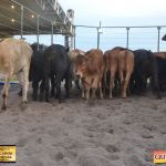 3º Leilão Fazendas Reunidas Cariri, Haras Cheval & Convidados 213