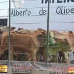 3º Leilão Fazendas Reunidas Cariri, Haras Cheval & Convidados 196