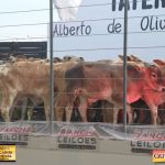 3º Leilão Fazendas Reunidas Cariri, Haras Cheval & Convidados 243