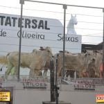 3º Leilão Fazendas Reunidas Cariri, Haras Cheval & Convidados 124