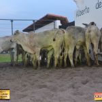 3º Leilão Fazendas Reunidas Cariri, Haras Cheval & Convidados 42