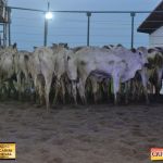 3º Leilão Fazendas Reunidas Cariri, Haras Cheval & Convidados 313