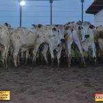 3º Leilão Fazendas Reunidas Cariri, Haras Cheval & Convidados 160