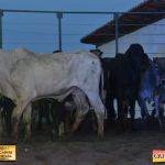 3º Leilão Fazendas Reunidas Cariri, Haras Cheval & Convidados 183