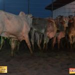 3º Leilão Fazendas Reunidas Cariri, Haras Cheval & Convidados 200