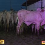3º Leilão Fazendas Reunidas Cariri, Haras Cheval & Convidados 252