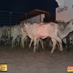 3º Leilão Fazendas Reunidas Cariri, Haras Cheval & Convidados 116