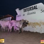 3º Leilão Fazendas Reunidas Cariri, Haras Cheval & Convidados 251
