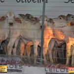 3º Leilão Fazendas Reunidas Cariri, Haras Cheval & Convidados 324