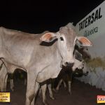 3º Leilão Fazendas Reunidas Cariri, Haras Cheval & Convidados 254