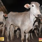 3º Leilão Fazendas Reunidas Cariri, Haras Cheval & Convidados 22