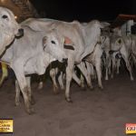 3º Leilão Fazendas Reunidas Cariri, Haras Cheval & Convidados 248