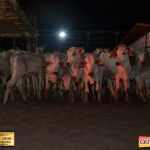 3º Leilão Fazendas Reunidas Cariri, Haras Cheval & Convidados 195