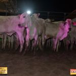 3º Leilão Fazendas Reunidas Cariri, Haras Cheval & Convidados 166