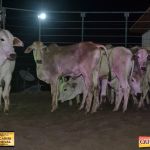 3º Leilão Fazendas Reunidas Cariri, Haras Cheval & Convidados 146