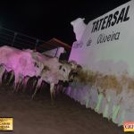 3º Leilão Fazendas Reunidas Cariri, Haras Cheval & Convidados 265