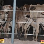 3º Leilão Fazendas Reunidas Cariri, Haras Cheval & Convidados 114