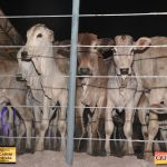 3º Leilão Fazendas Reunidas Cariri, Haras Cheval & Convidados 264