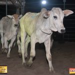 3º Leilão Fazendas Reunidas Cariri, Haras Cheval & Convidados 35