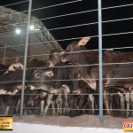 3º Leilão Fazendas Reunidas Cariri, Haras Cheval & Convidados 11