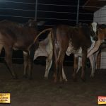 3º Leilão Fazendas Reunidas Cariri, Haras Cheval & Convidados 295