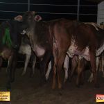 3º Leilão Fazendas Reunidas Cariri, Haras Cheval & Convidados 165