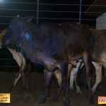 3º Leilão Fazendas Reunidas Cariri, Haras Cheval & Convidados 288
