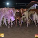 3º Leilão Fazendas Reunidas Cariri, Haras Cheval & Convidados 292