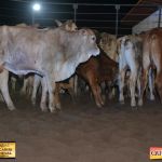 3º Leilão Fazendas Reunidas Cariri, Haras Cheval & Convidados 263