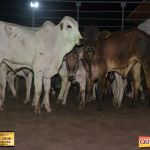 3º Leilão Fazendas Reunidas Cariri, Haras Cheval & Convidados 276