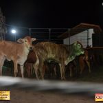 3º Leilão Fazendas Reunidas Cariri, Haras Cheval & Convidados 306