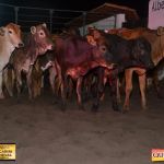 3º Leilão Fazendas Reunidas Cariri, Haras Cheval & Convidados 33