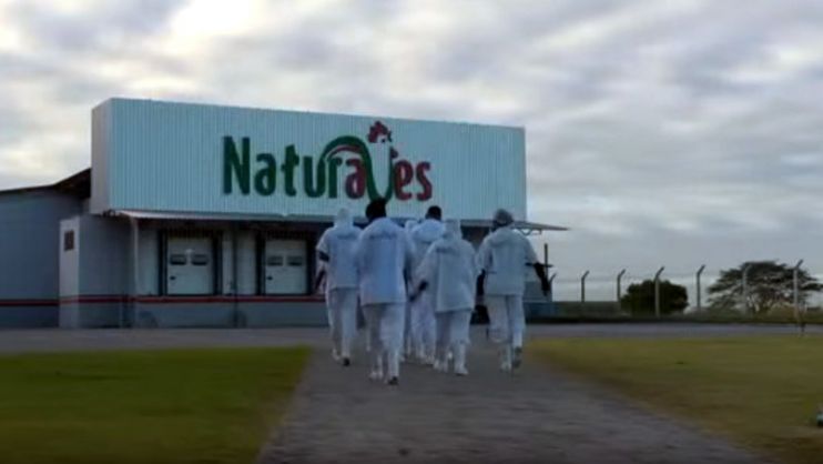 Funcionários da Naturaves internados com suspeita de intoxicação alimentar Funcionários da Naturaves internados com suspeita de intoxicação alimentar 8