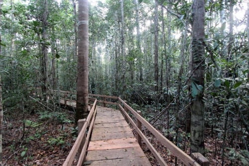 Parque Pau Brasil em Porto Seguro será privatizado por R$ 7,2 milhões, visitante pagará por tudo 9