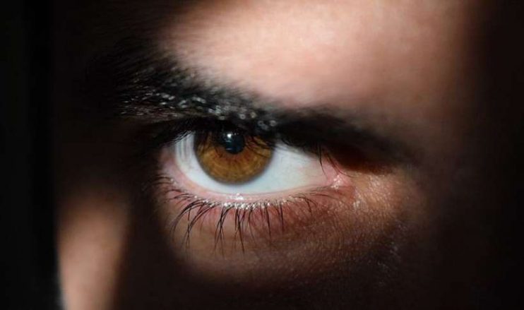 Nistagmo: condição faz olhos mexerem descontroladamente 4